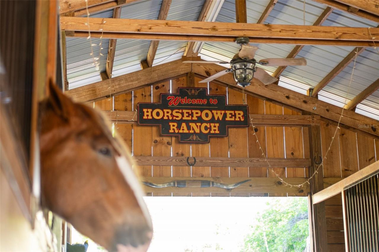 280 Campbell Ranch Run, Geneva, FL 32732 Photo