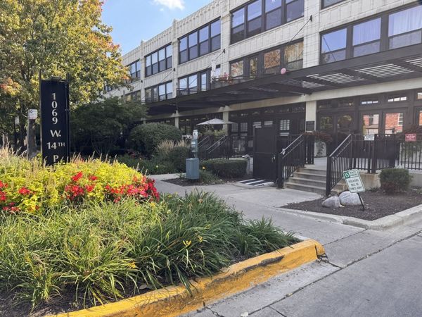 1069 W 14th Place, Unit 229, Chicago, IL 60608