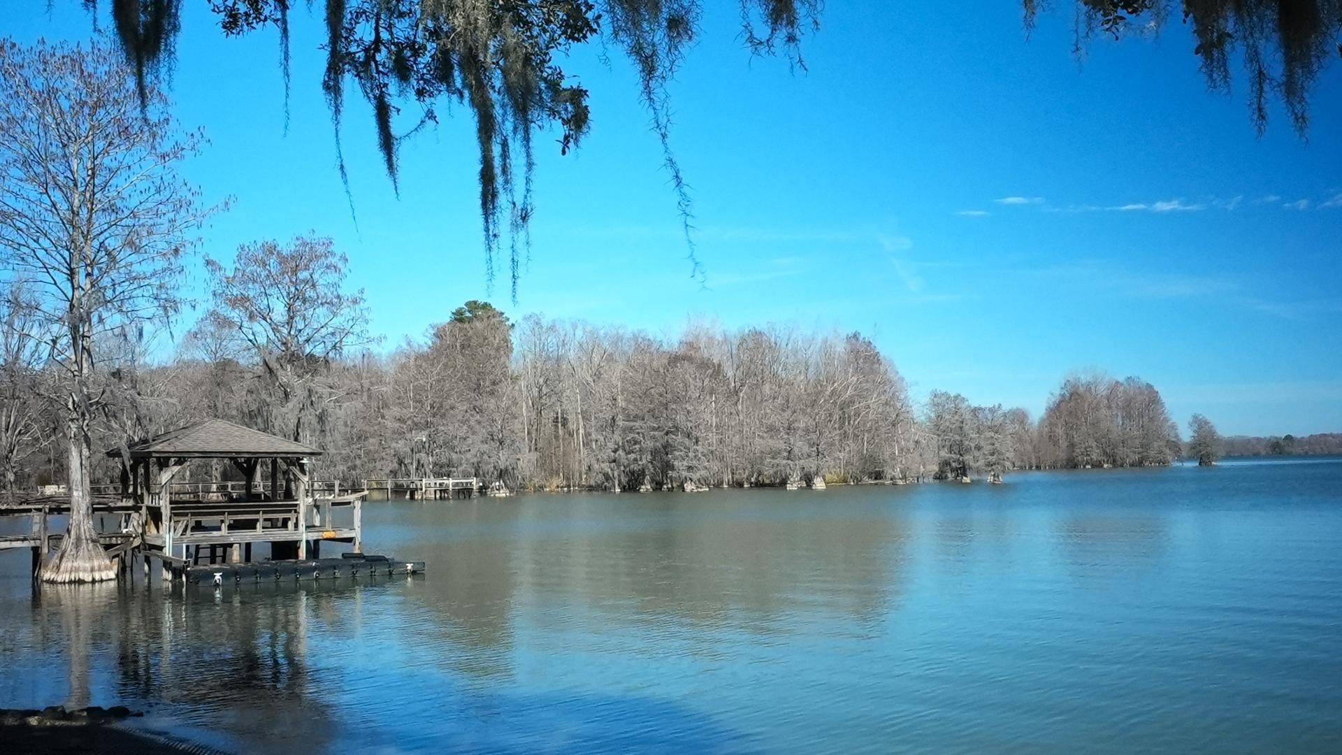 1044 Mulligan Drive Photo 25