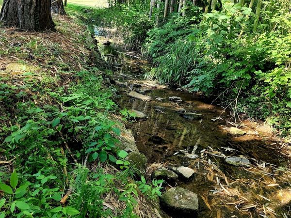 267 Graylynn Dr , Nashville, TN 37214