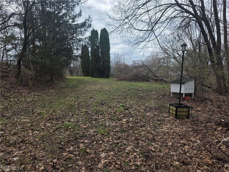 2031 Pickering Street, East Liverpool, OH 43920 Photo 4