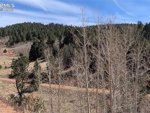 170 Valley Road, Divide, CO 80814