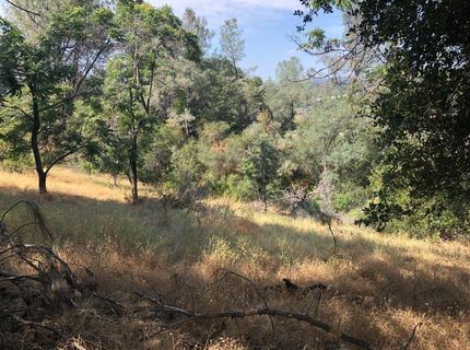 3075 Gold Nugget Way, Placerville, CA 95667 Photo