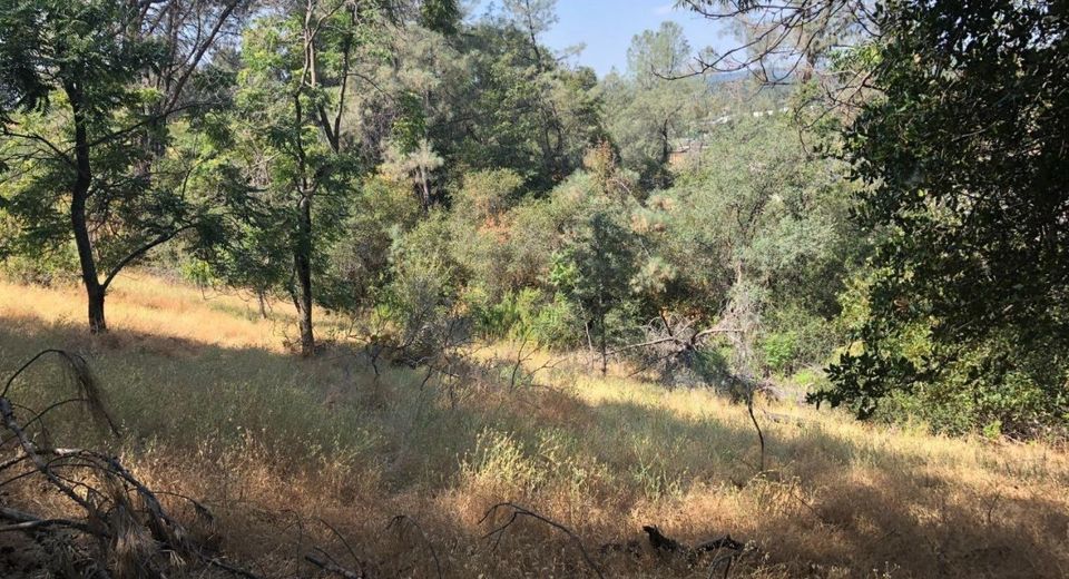 3075 Gold Nugget Way, Placerville, CA 95667 Photo