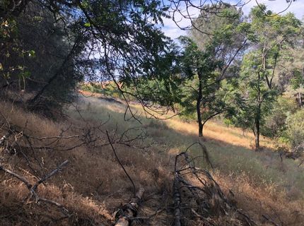3075 Gold Nugget Way, Placerville, CA 95667 Photo