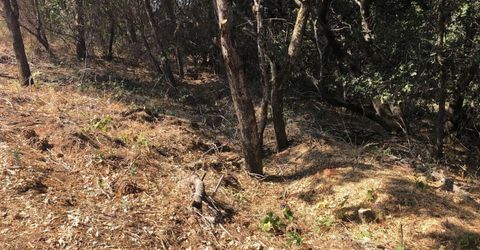 3075 Gold Nugget Way, Placerville, CA 95667 Photo