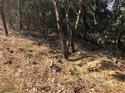 3075 Gold Nugget Way, Placerville, CA 95667 Photo