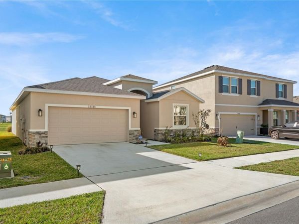 32516 OSPREY PEAK WAY , SAN ANTONIO, FL 33576