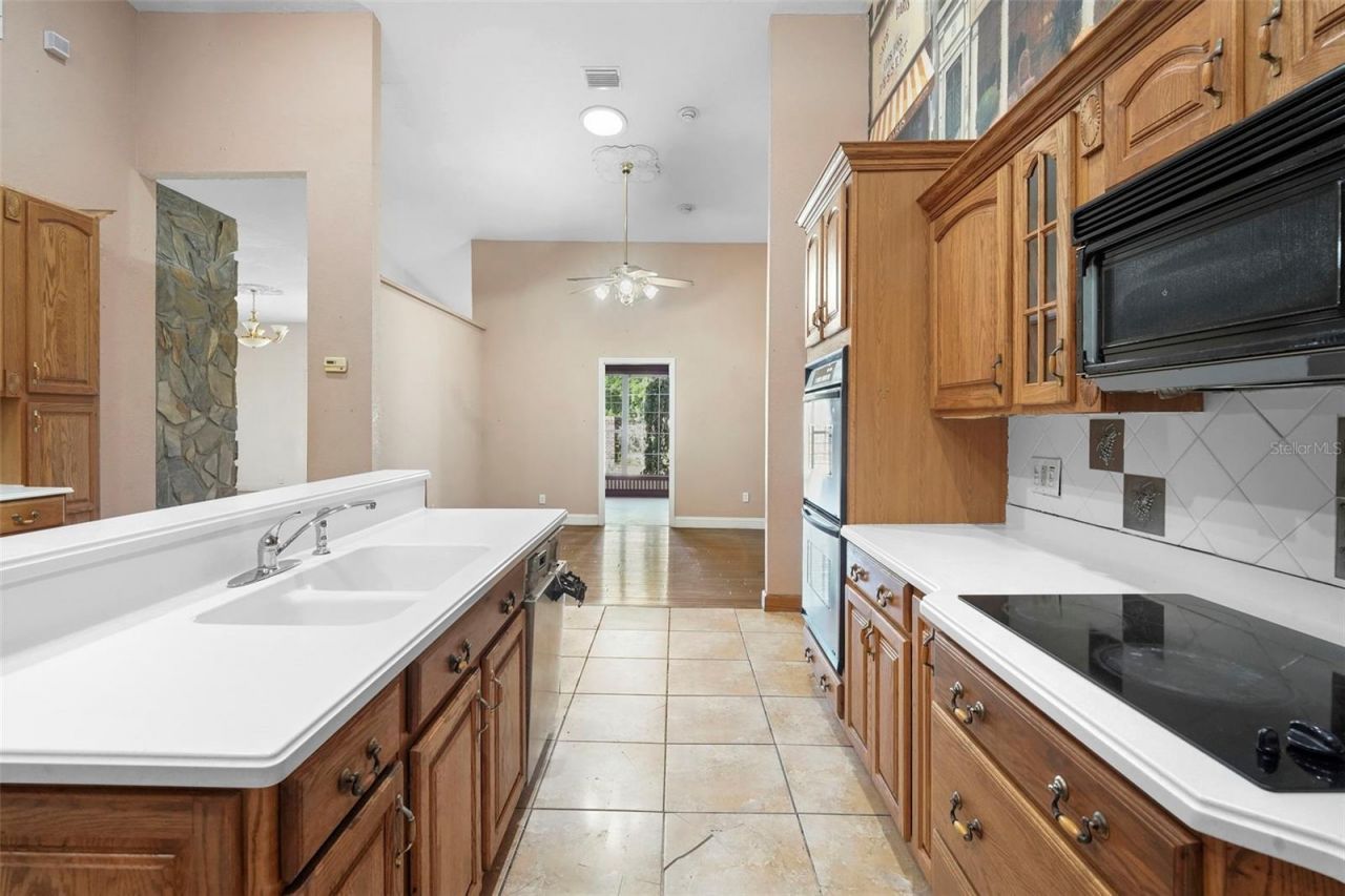 227 S Hawthorne Avenue, Apopka, FL 32703 Photo