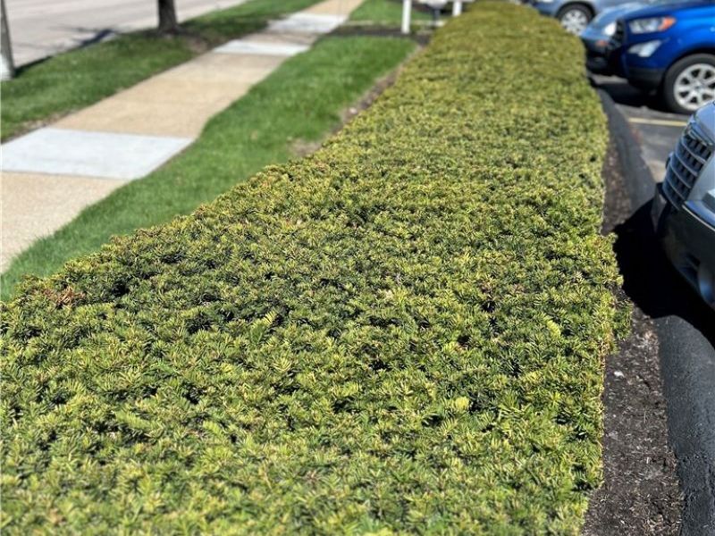 3167 Linden Road, Unit 204, Rocky River, OH 44116 Photo 20