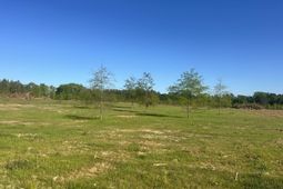 0 Livingston Road photo 4