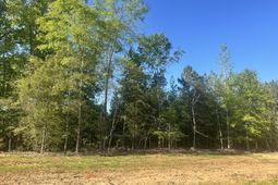 0 Livingston Road photo 4