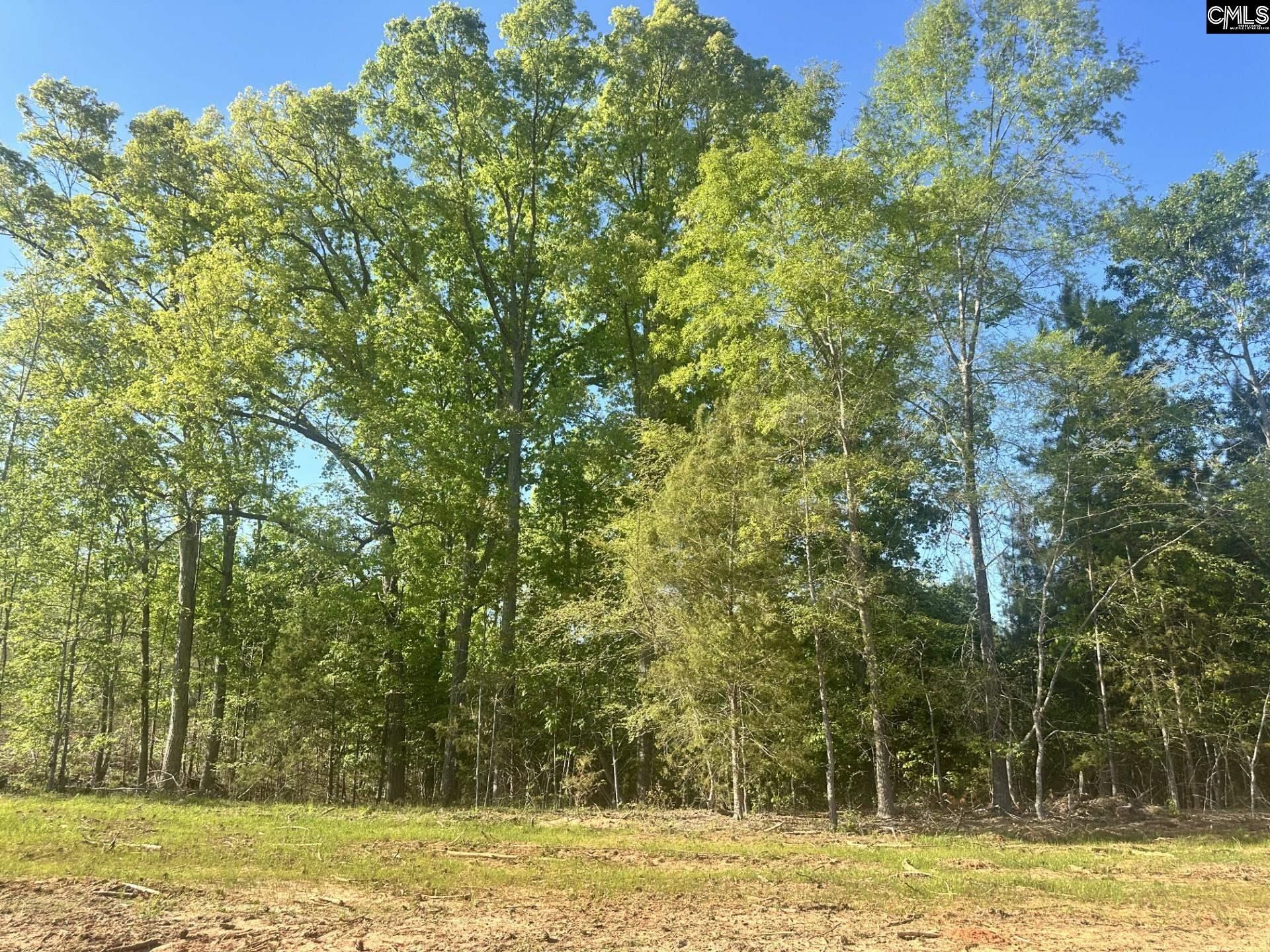 0 Livingston Road Photo 5