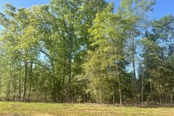 0 Livingston Road photo 4