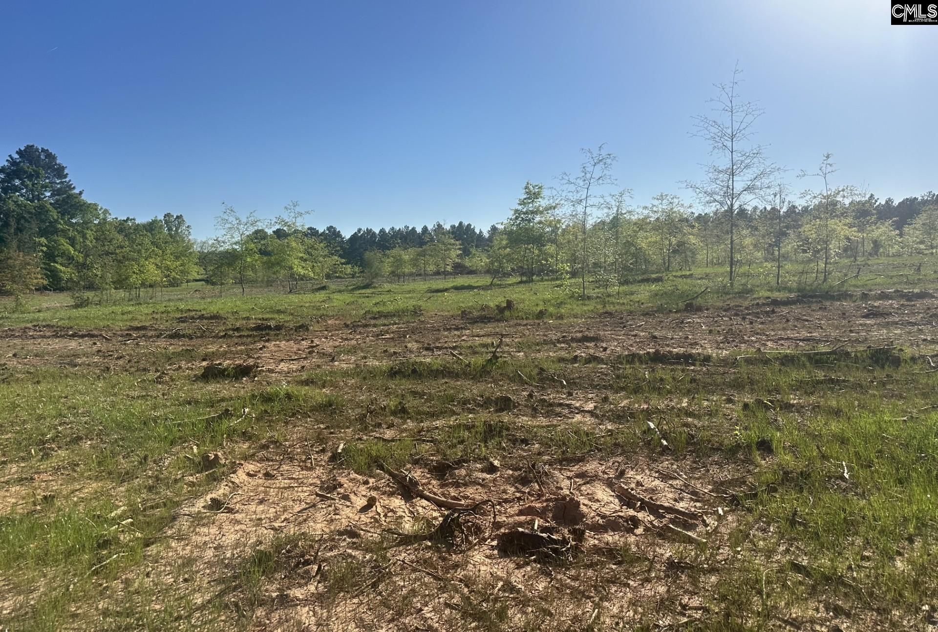 0 Livingston Road Photo 6