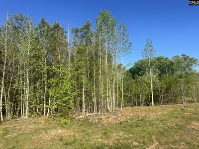 2145 Livingston Road, Pomaria, SC 29126