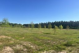 2145 Livingston Road photo 4