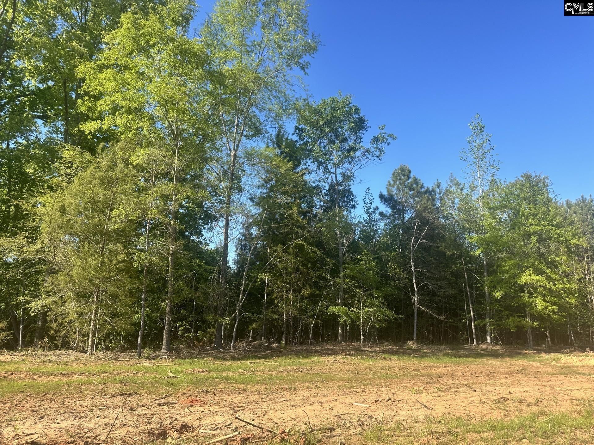 2145 Livingston Road Photo 6