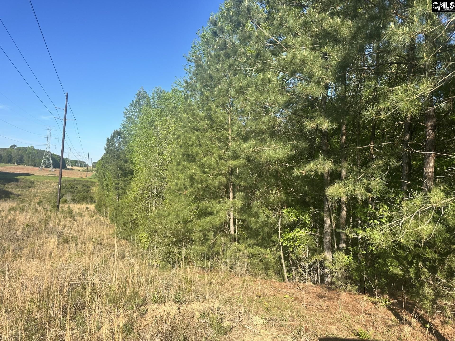 2145 Livingston Road Photo 7