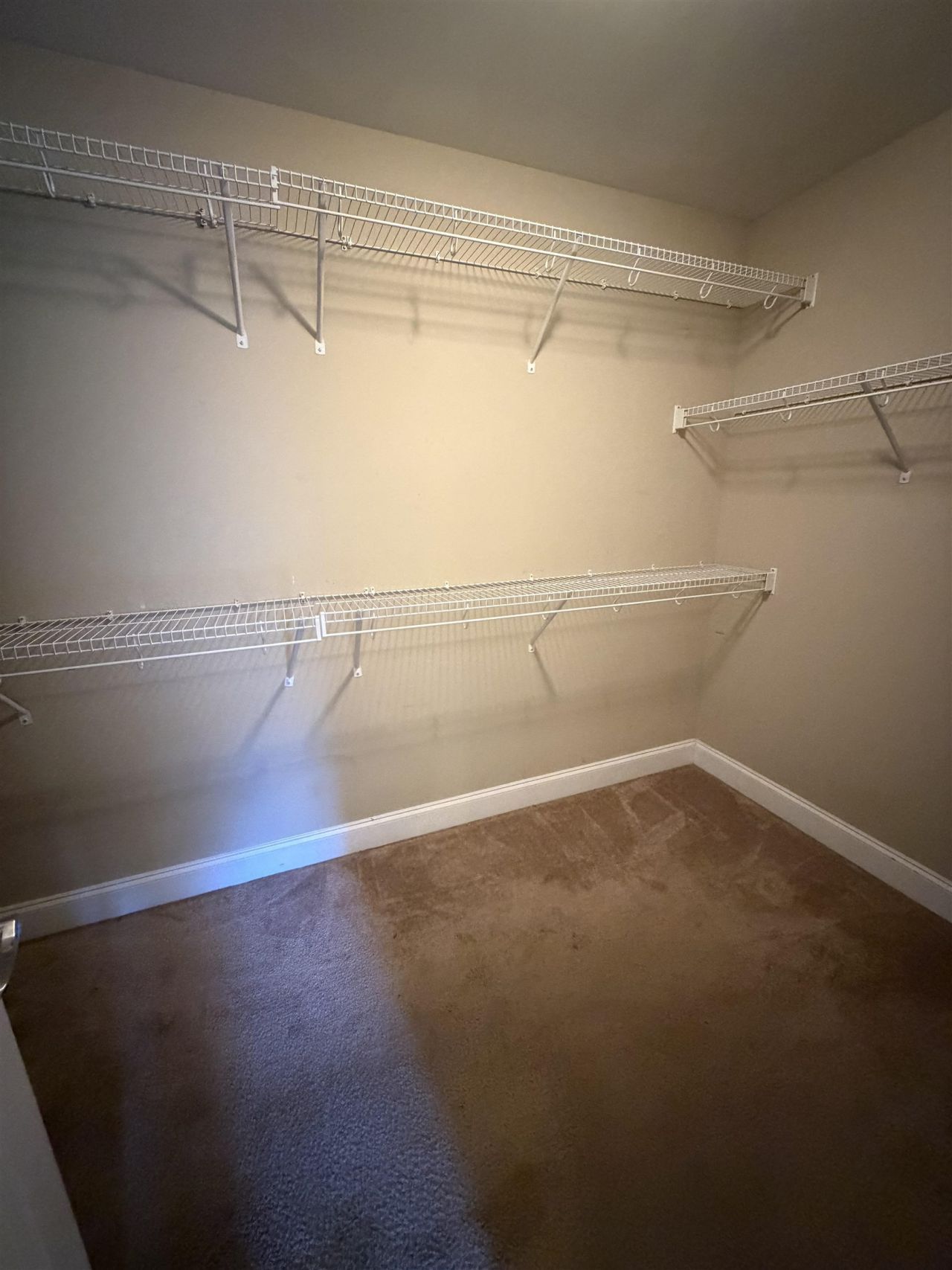 619 Uniola Dr. Photo 12