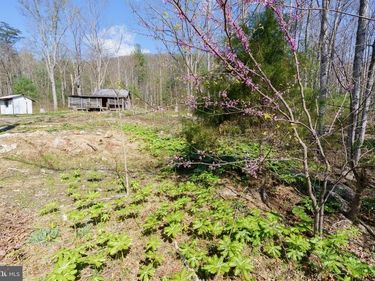 3336 WOLF GAP ROAD , EDINBURG, VA 22824