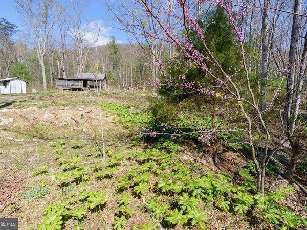 3336 WOLF GAP ROAD, EDINBURG, VA 22824