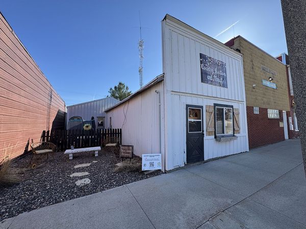 21 E Market St, Shannon, IL 61078