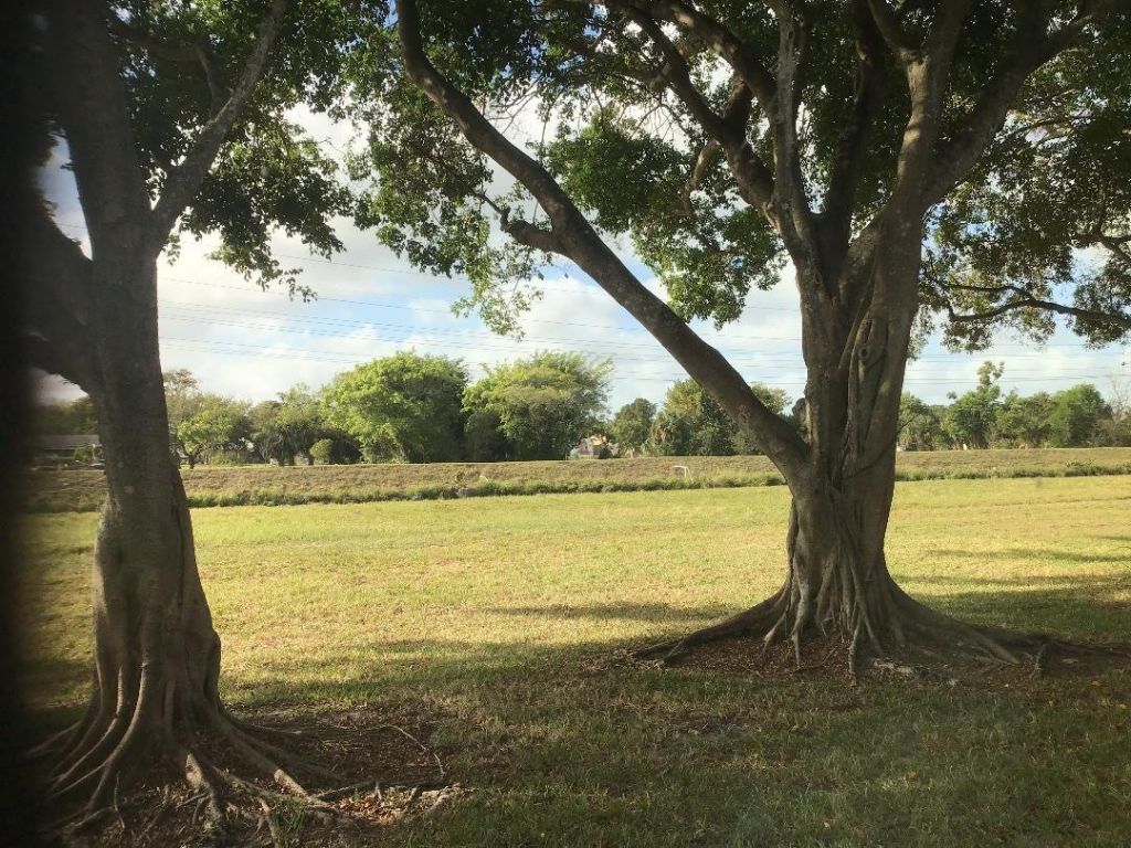 7290 NW 1st Street, Unit 205, Margate, FL 33063 Photo