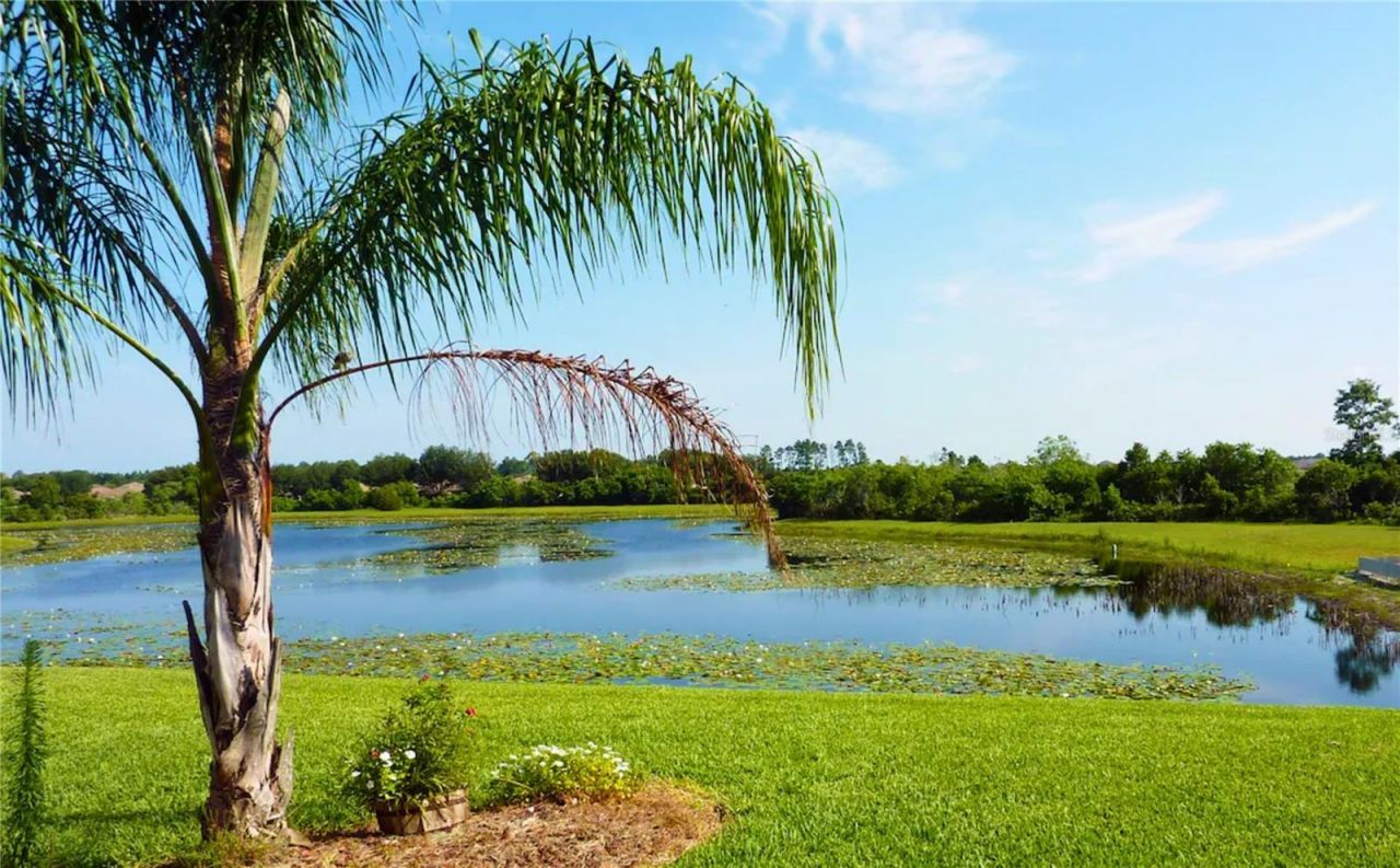 3433 Swallow Hill Street , Clermont, FL 34714 Photo