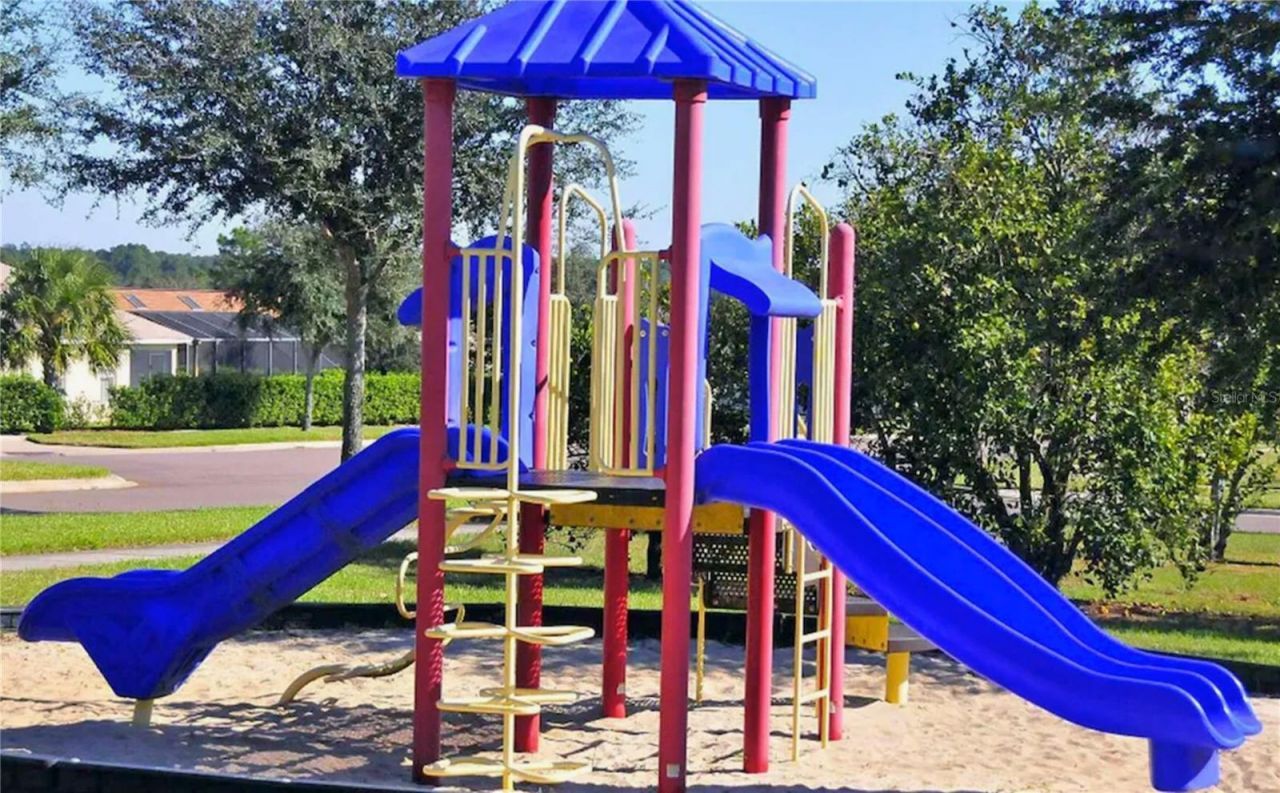 3433 Swallow Hill Street , Clermont, FL 34714 Photo