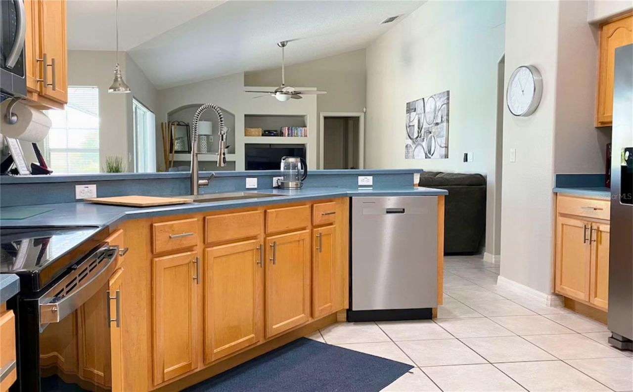 3433 Swallow Hill Street , Clermont, FL 34714 Photo