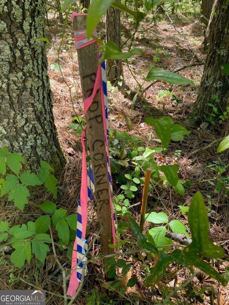 0 Maynards Mill Road, Forsyth, GA 31029 Main Photo