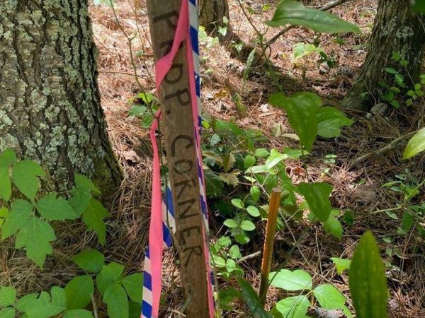 0 Maynards Mill Road, Forsyth, GA 31029