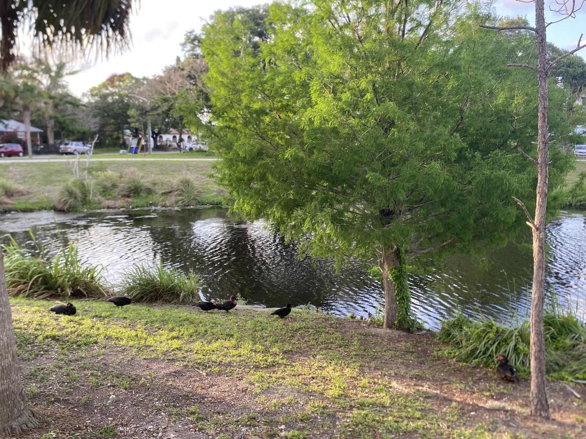 319 N 11th Street, Fort Pierce, FL 34950 Photo