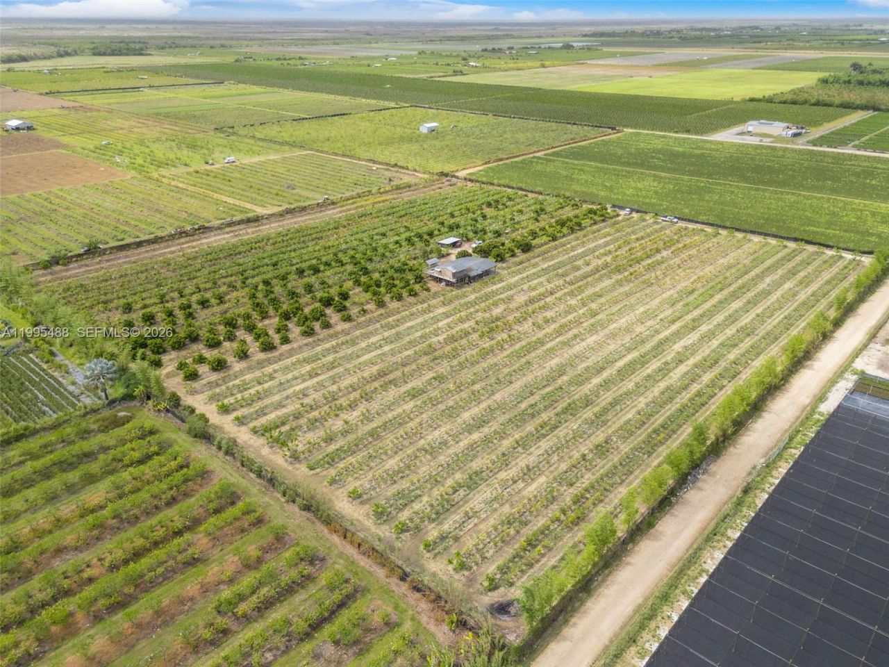 342xx SW 219 Avenue , Miami, FL 33034 Photo