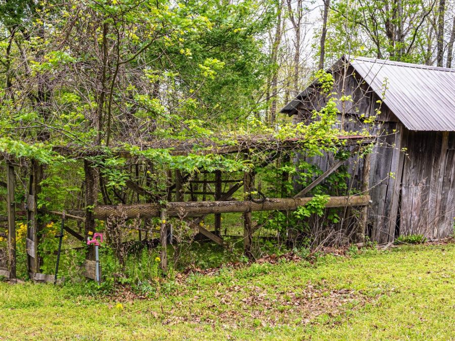 Property Image 47