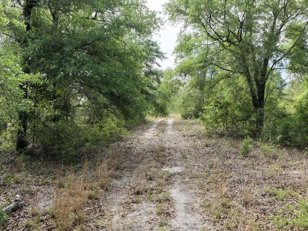Vacant NE Cedar Trail, Pinetta, FL