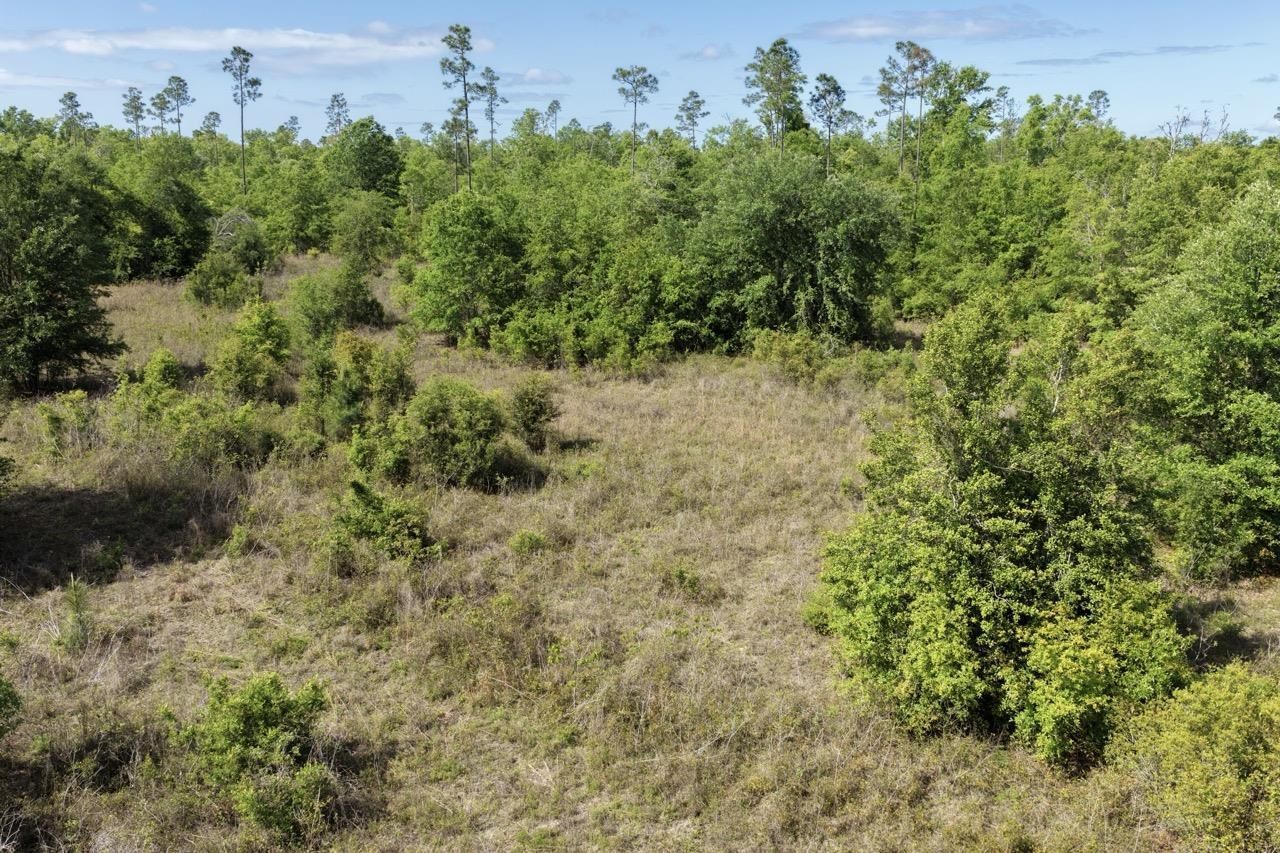 Vacant NE Cedar Trail, Pinetta, FL 00000 Photo