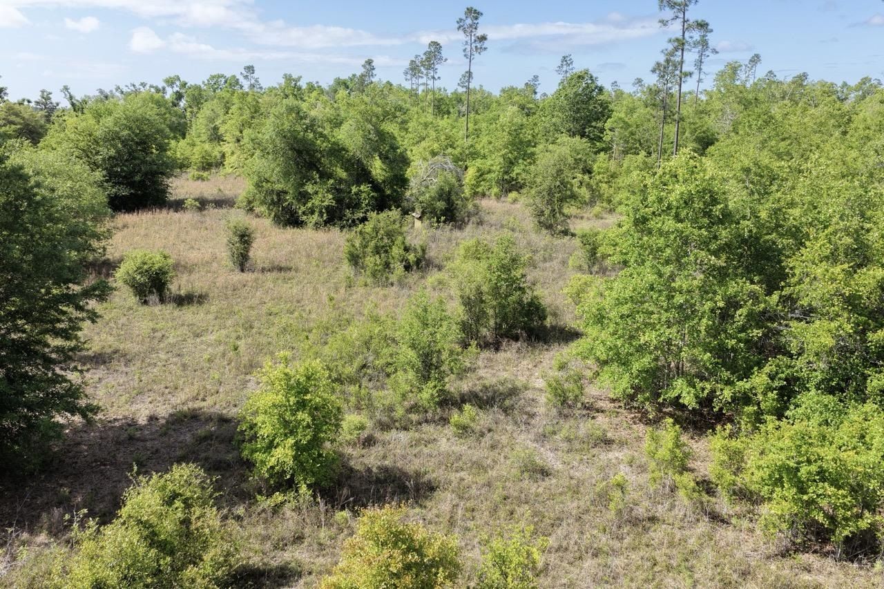 Vacant NE Cedar Trail, Pinetta, FL 00000 Photo
