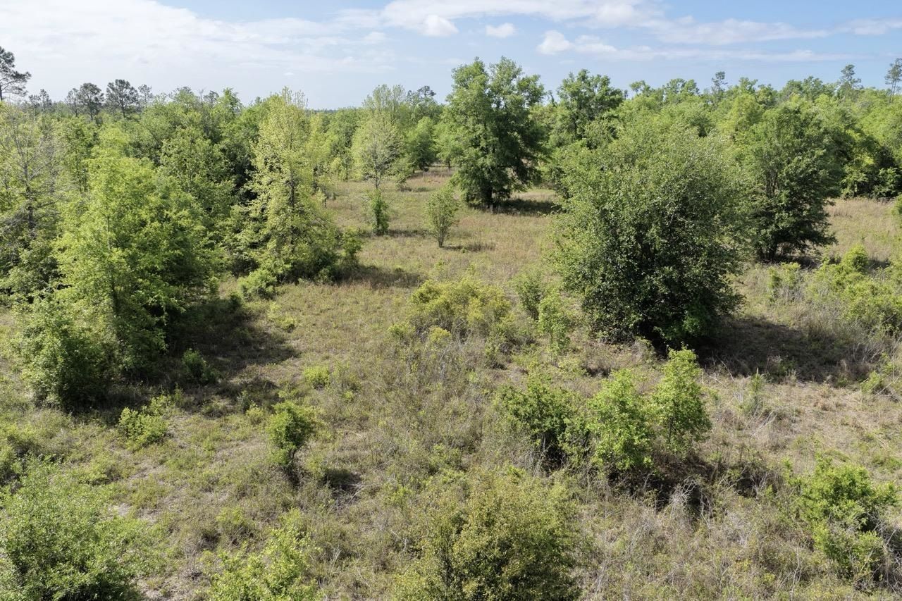 Vacant NE Cedar Trail, Pinetta, FL 00000 Photo