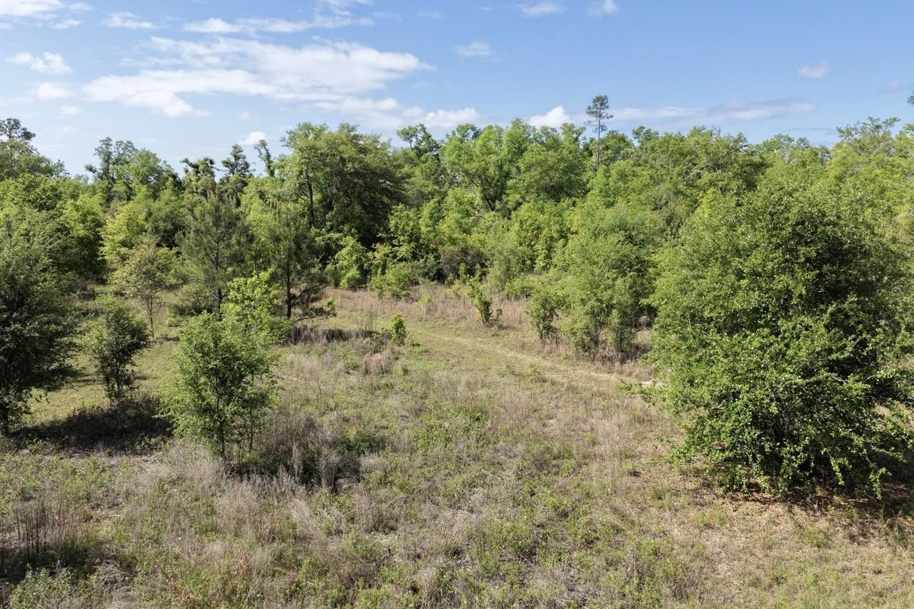 Vacant NE Cedar Trail, Pinetta, FL 00000 Photo