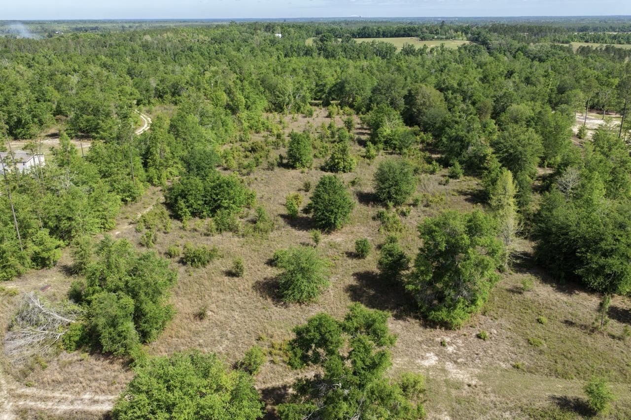 Vacant NE Cedar Trail, Pinetta, FL 00000 Photo
