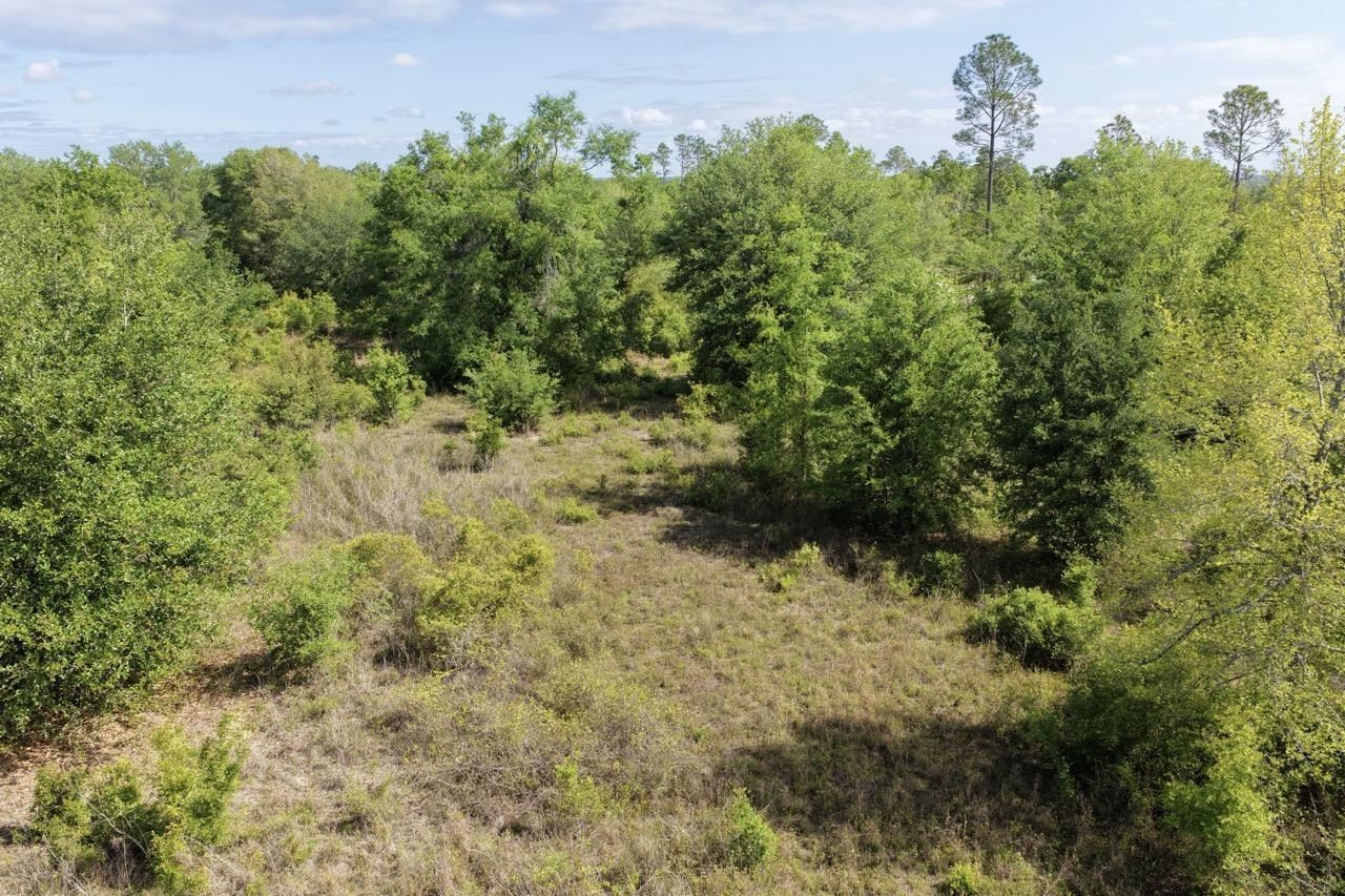 Vacant NE Cedar Trail, Pinetta, FL 00000 Photo