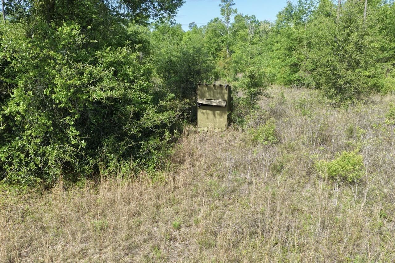 Vacant NE Cedar Trail, Pinetta, FL 00000 Photo