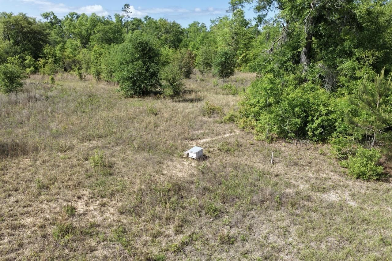 Vacant NE Cedar Trail, Pinetta, FL 00000 Photo
