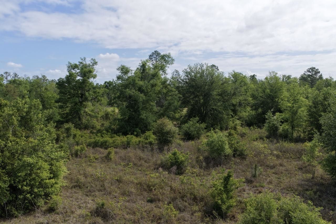 Vacant NE Cedar Trail, Pinetta, FL 00000 Photo