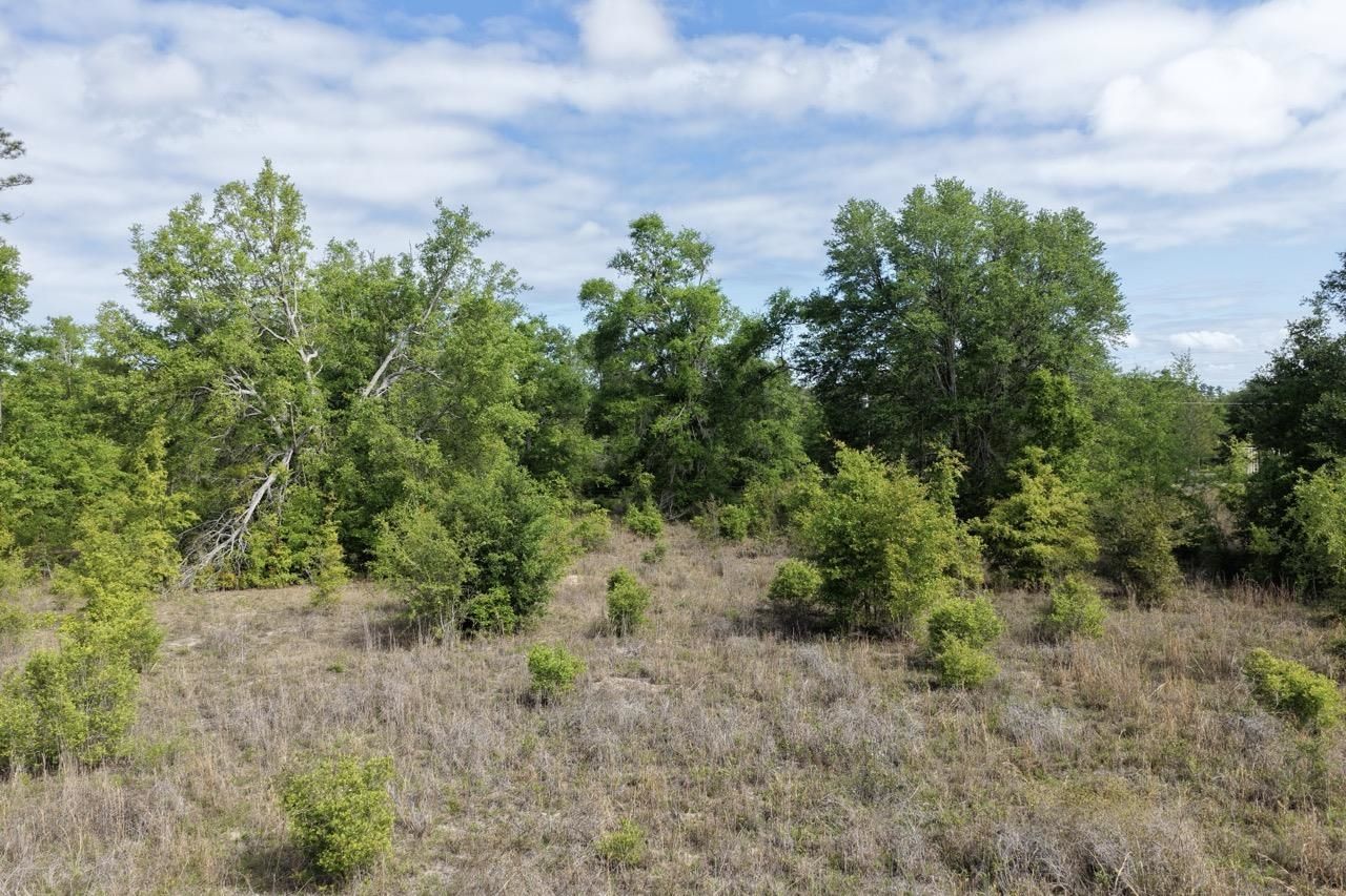 Vacant NE Cedar Trail, Pinetta, FL 00000 Photo