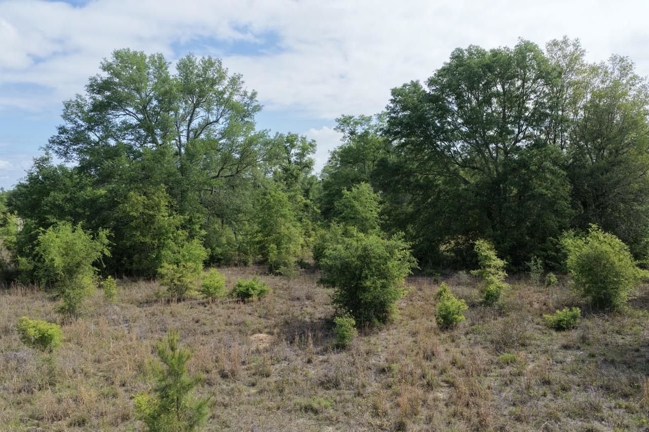 Vacant NE Cedar Trail, Pinetta, FL 00000 Photo
