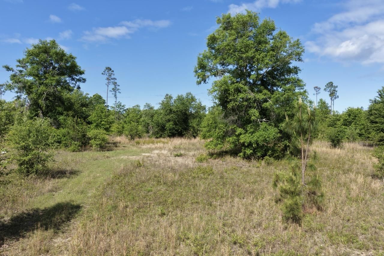 Vacant NE Cedar Trail, Pinetta, FL 00000 Photo