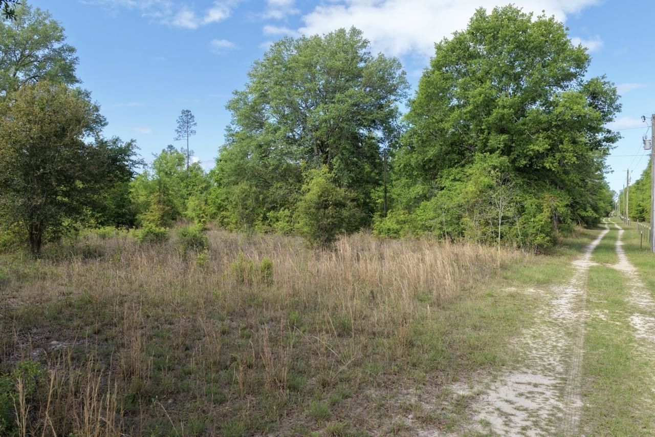 Vacant NE Cedar Trail, Pinetta, FL 00000 Photo